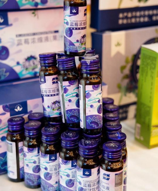 蓝莓种植全攻略：从苗木选购到丰产管理的实用指南