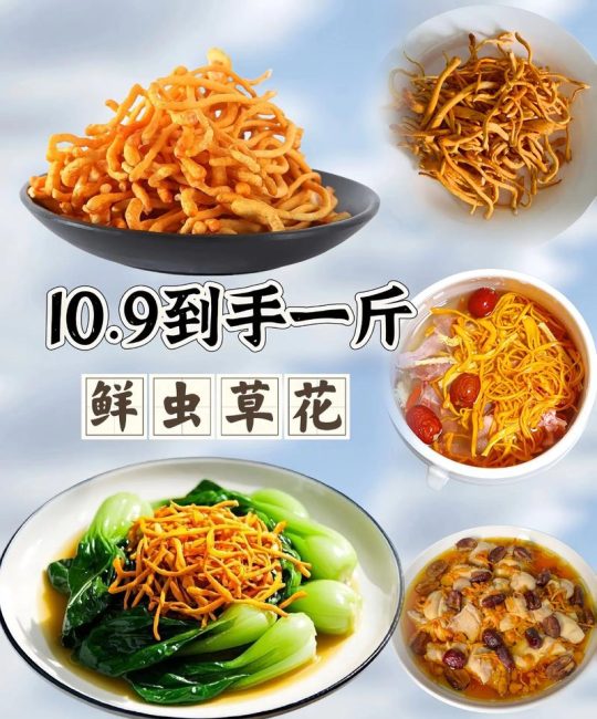 新鲜虫草怎么吃最好最营养？家庭园艺栽培与食用技巧