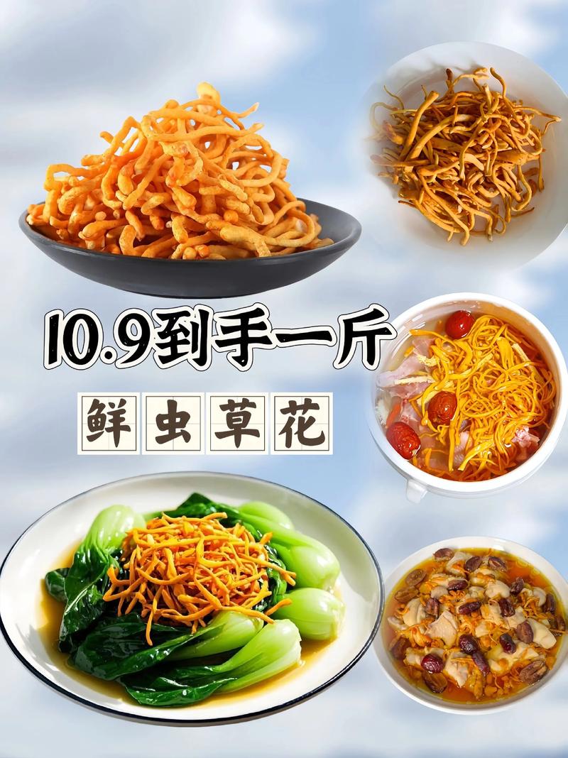 家庭园艺：自己种新鲜虫草