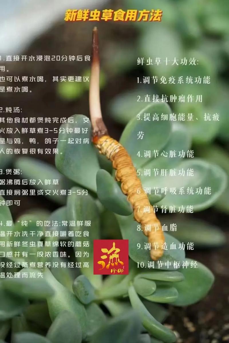 结语