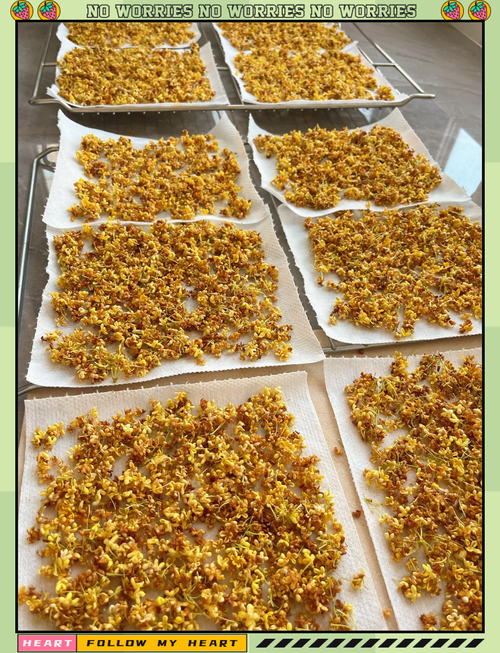 干桂花怎么制作不损坏香味?掌握这些技巧,留住满屋秋香 五、几个小技巧让香味更持久