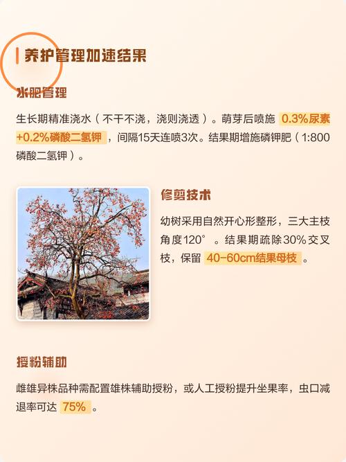 柿子树苗什么时候开花?花期、果期与促花养护全攻略 柿子树不开花不结果常见原因与解决