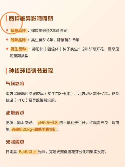 柿子树苗什么时候开花?花期、果期与促花养护全攻略 优质柿子树苗采购指南(一看二验)