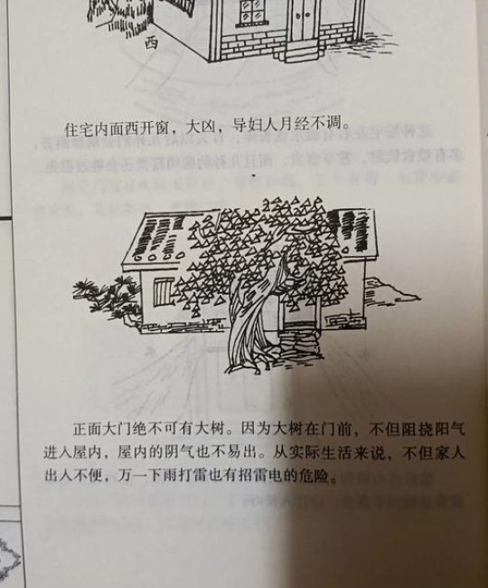 柳树对着大门好不好？风水与园艺的全面解析