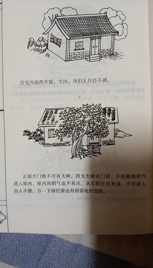 柳树对着大门好不好?风水与园艺的全面解析 引言:一株柳树引发的庭院困惑