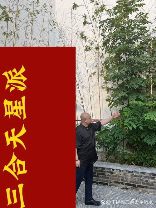 柳树对着大门好不好?风水与园艺的全面解析 第二部分:现代园艺科学——柳树对大门的影响