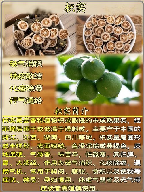 枳实树苗采购指南:科学评估渠道的五步法 第二步:品种真实性核查