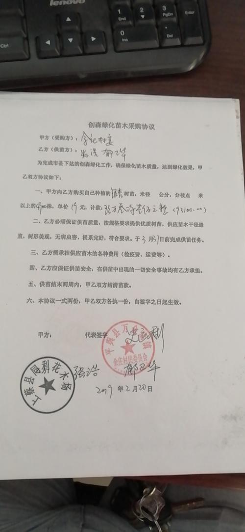 枳实树苗采购指南:科学评估渠道的五步法 第三步:规格匹配度与根系状态评估