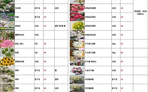 玫瑰花价格多少钱一棵？2026年市场参考区间与选购指南