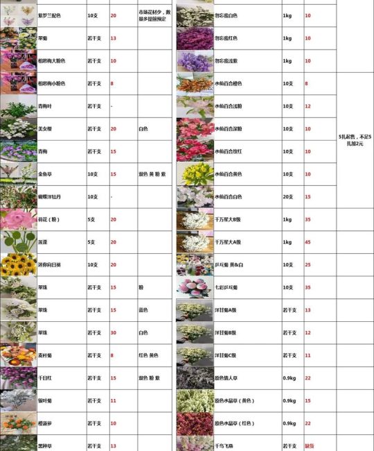 玫瑰花价格多少钱一棵？2026年市场参考区间与选购指南