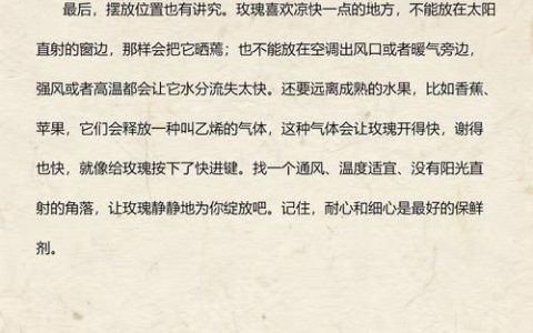 玫瑰花买回来怎么养才不会枯萎？