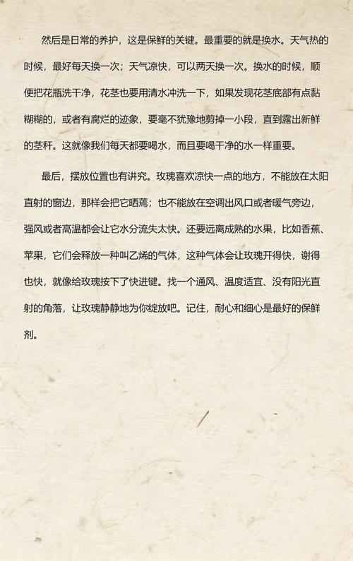 玫瑰花买回来怎么养才不会枯萎? 一、浇水:先稳根,再谈开花,缓苗期浇水以“微湿不积水”为主