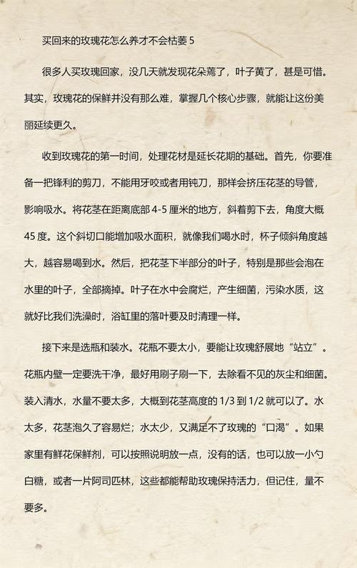 玫瑰花买回来怎么养才不会枯萎? 二、施肥:缓苗期先停肥,恢复生长后再薄肥勤施