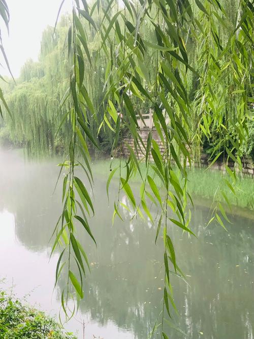 结语
