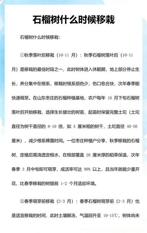 石榴树什么季节移栽最好 3. 栽前处理:修剪烂根,消毒后蘸生根剂