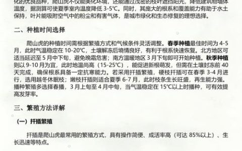 爬山虎育苗全攻略：从扦插到移栽的精准操作指南