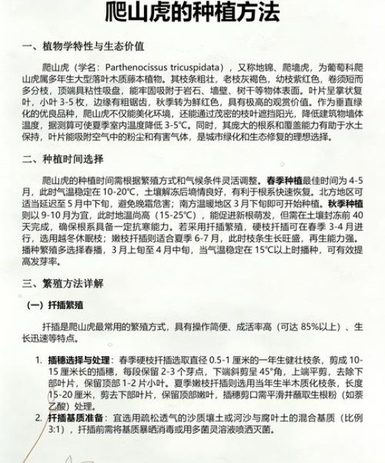 爬山虎育苗全攻略：从扦插到移栽的精准操作指南