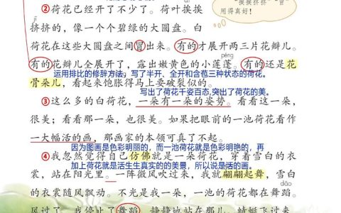 荷花更什么了？关于种植水深、基质与越冬条件的完整解答