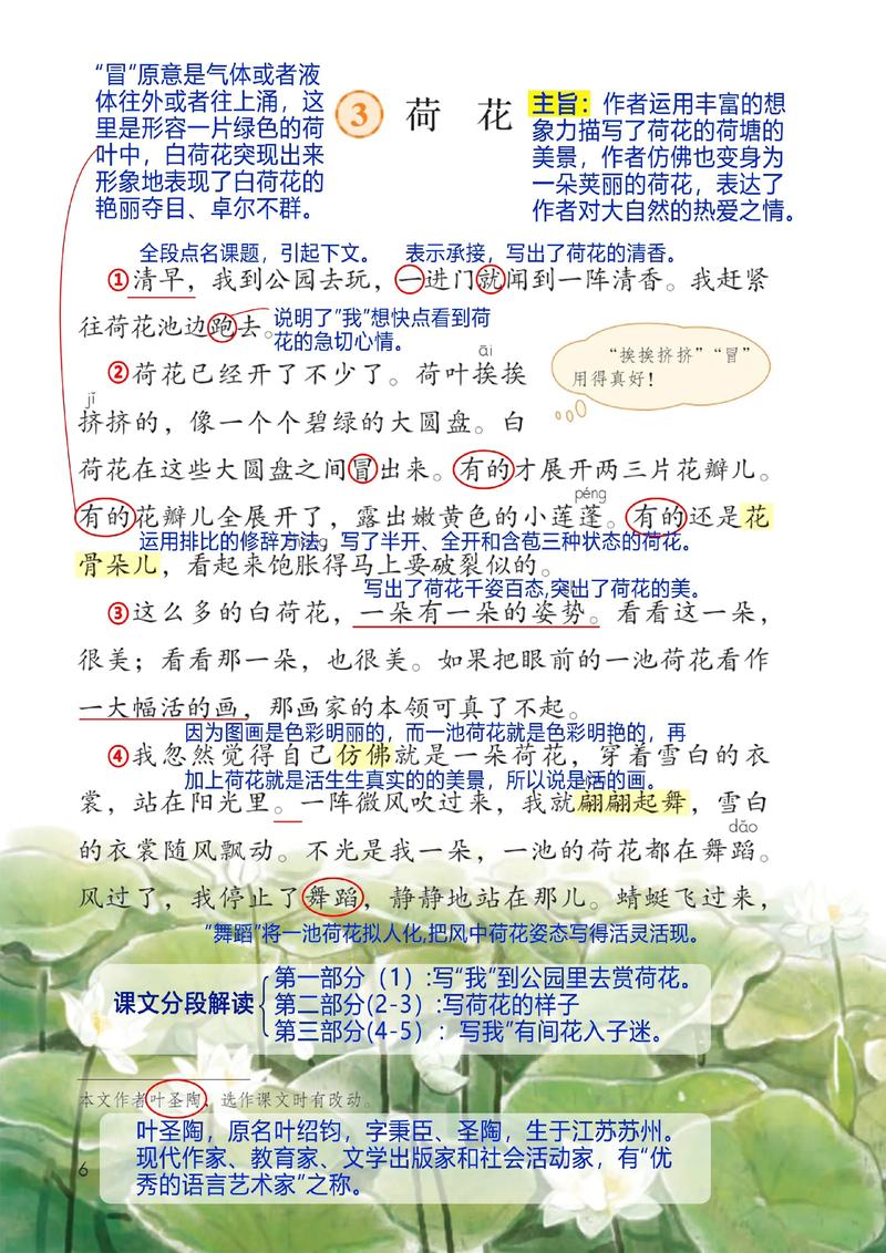 荷花最适合的水深、基质与净化能力
