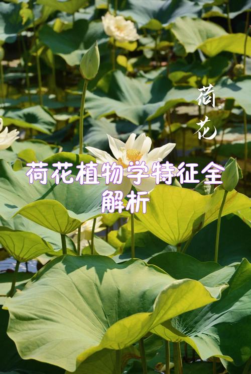 常见的养护陷阱与纠正