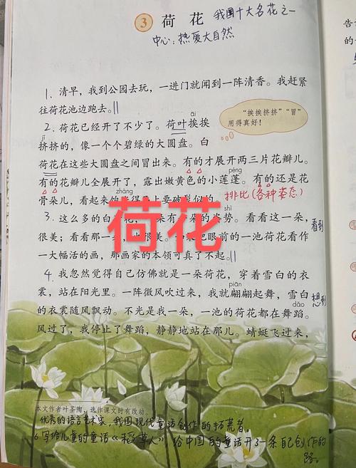 分步种植与养护操作步骤