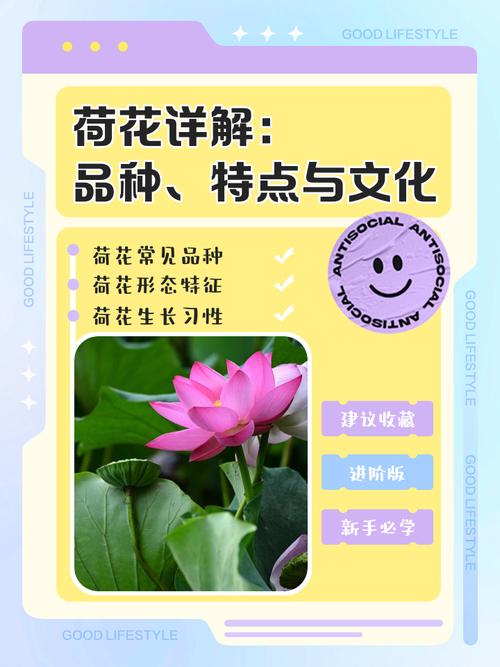 总结