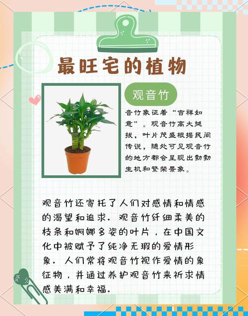3. 采光忌讳：遮天蔽日惹潮湿