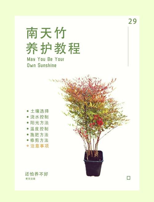 4. 维护忌讳：落叶枯竹易藏污