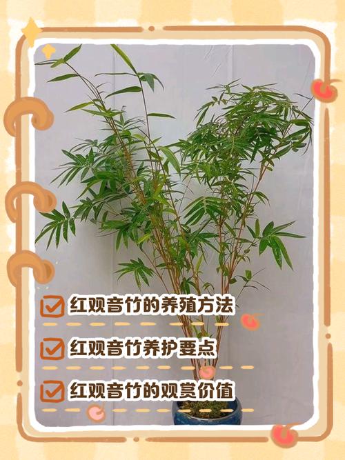 结语：风雅亦需科学与敬畏