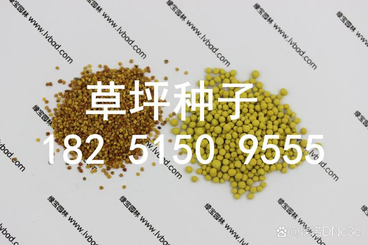 黑麦草草皮多少钱一平方?2026年市场参考价与五大影响因素解析 八、常见问题解答(FAQ)