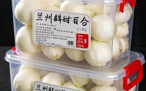 百合种球价格是多少？品种、规格与季节如何影响报价