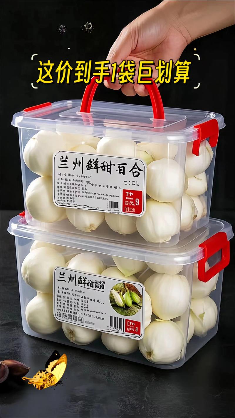 百合种球价格是多少？品种、规格与季节如何影响报价