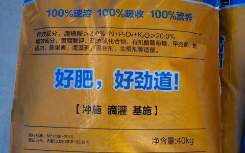 南瓜座果期用什么追肥好？水溶肥选择与使用指南