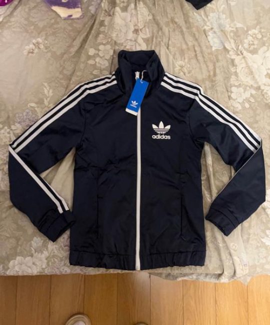 倒三叶草是什么牌子衣服？——从植物学解读三叶草的园艺魅力