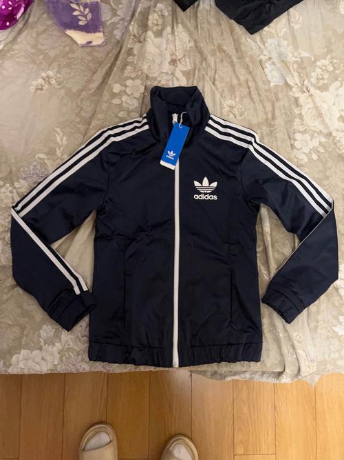 倒三叶草是什么牌子衣服?——从植物学解读三叶草的园艺魅力 倒三叶草是什么牌子衣服?——从植物学解读三叶草的园艺魅力