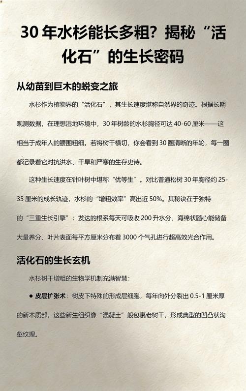 水杉有种子吗?揭开活化石的繁殖奥秘 水杉种子的模样与萌发特性