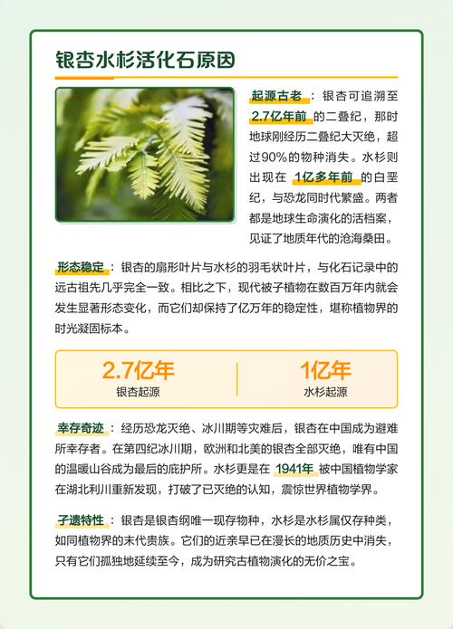 水杉有种子吗?揭开活化石的繁殖奥秘 结语