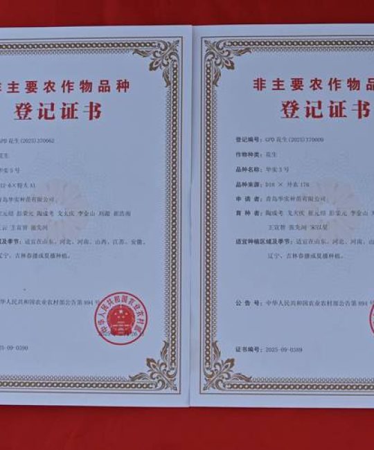 优先选择具备国家或省级种苗生产许可证、能提供《植物检疫证书》且允许现场或视频验苗的规模化苗圃作为批发渠道。