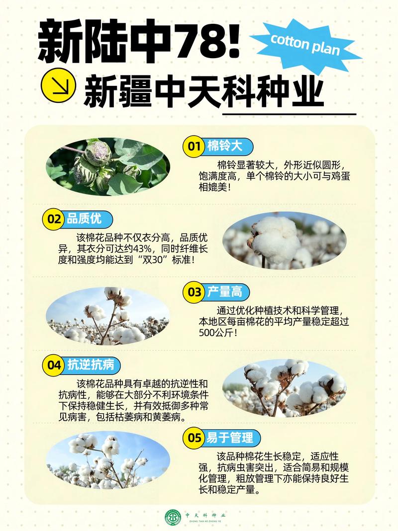 一、品种总体判断