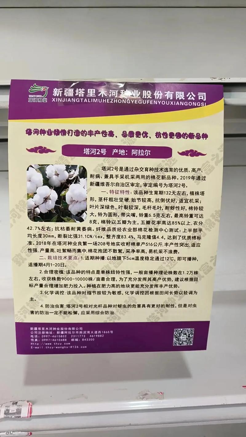 二、六维度对比表格
