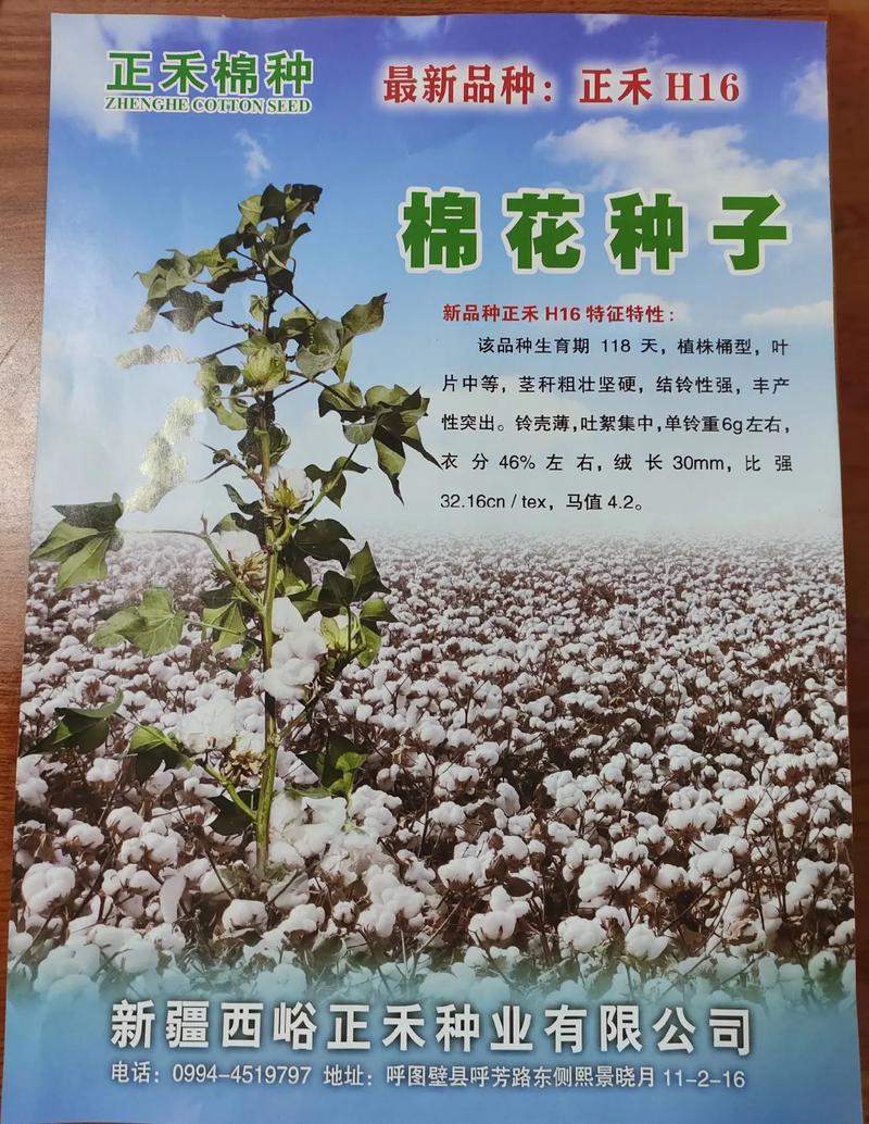结语