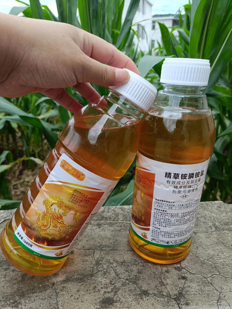 小飞蓬草用什么除草剂根除?专家详解高效彻底防治方法 四、综合防治策略:除草剂不是唯一答案