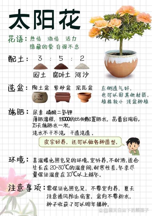 常见误区与纠正