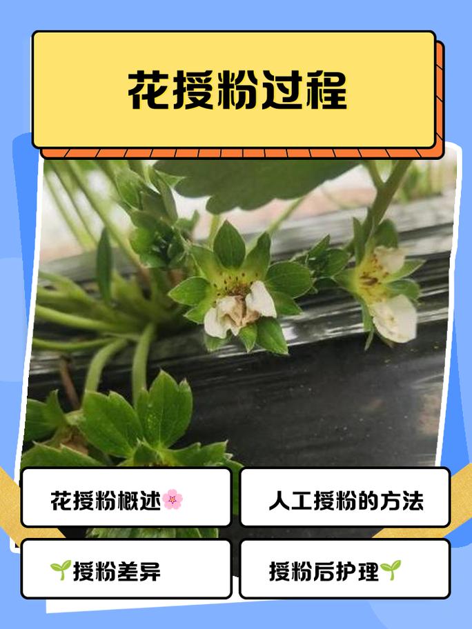 总结