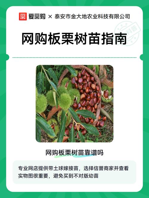 网购树苗栽前要泡水吗?园艺新手必看的安全操作指南 药用常识(仅限部分树苗):仅作了解,不可自行用药