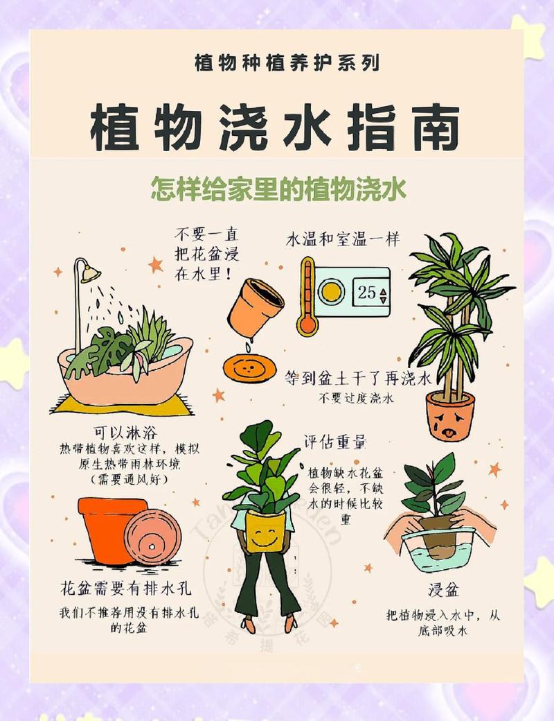 网购树苗栽前要泡水吗?园艺新手必看的安全操作指南 结语:安全第一,科学操作