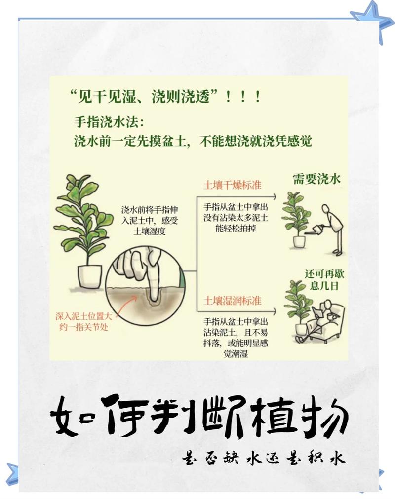 网购树苗栽前要泡水吗?园艺新手必看的安全操作指南 常见误区与风险提示