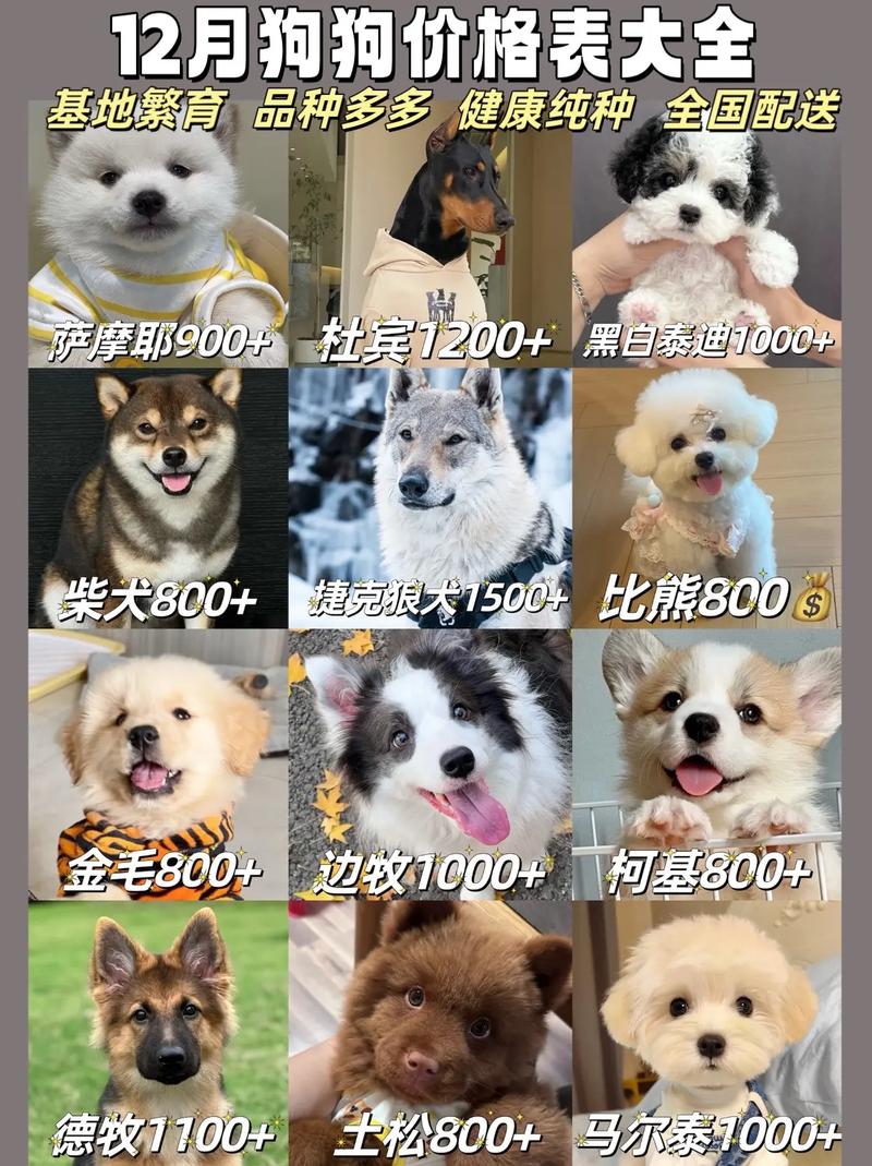 规格影响：小苗重量决定基础价