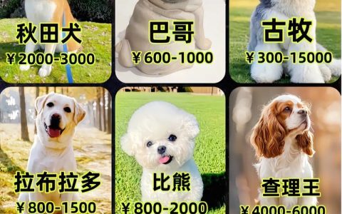 肉狗小苗多少钱一只？2026年最新价格参考与影响因素分析