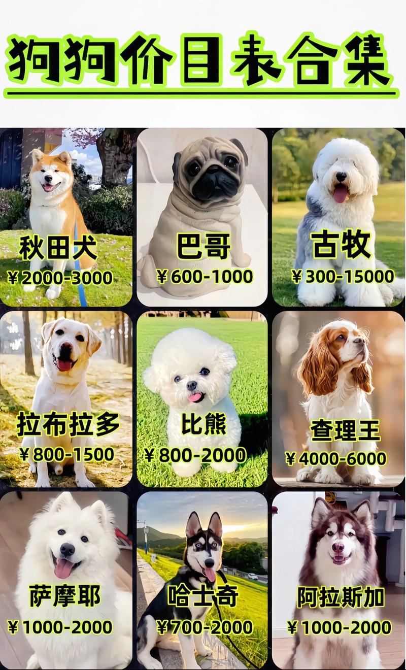 价格快速参考